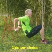 dips chaise